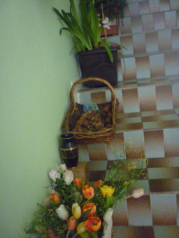Milanna Apartment Breclav Bagian luar foto